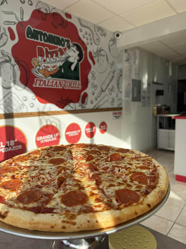 Antonino's Pizza Arecibo
